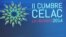 II Cumbre de la Comunidad de Estados Latinoamericanos y Caribeños (CELAC)
