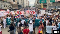 Manifestantes de distintos gremios y activistas en marcha realizada en Caracas.(OCB)