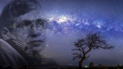 Stephen Hawking y la noche cubana