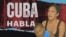 Banner 427