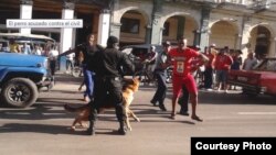 La policía reprime con perros una pelea en La Habana. Foto de Juliet Michelena para Cubanet.