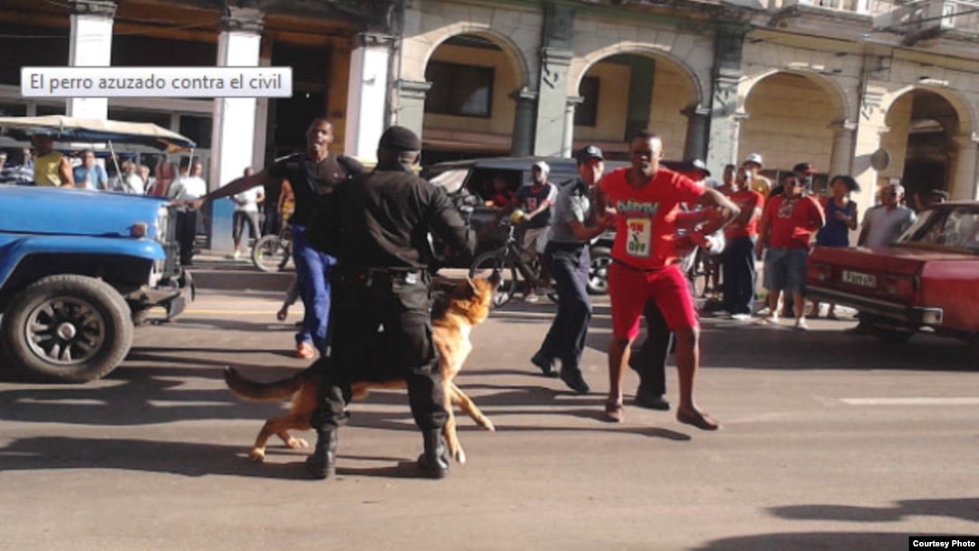 La policía reprime con perros una pelea en La Habana. Foto de Juliet Michelena para Cubanet.