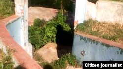 Reporta Cuba. Foto: Bárbara Fernández.