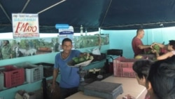 Producción de cítricos en Cuba sufre dramática caída