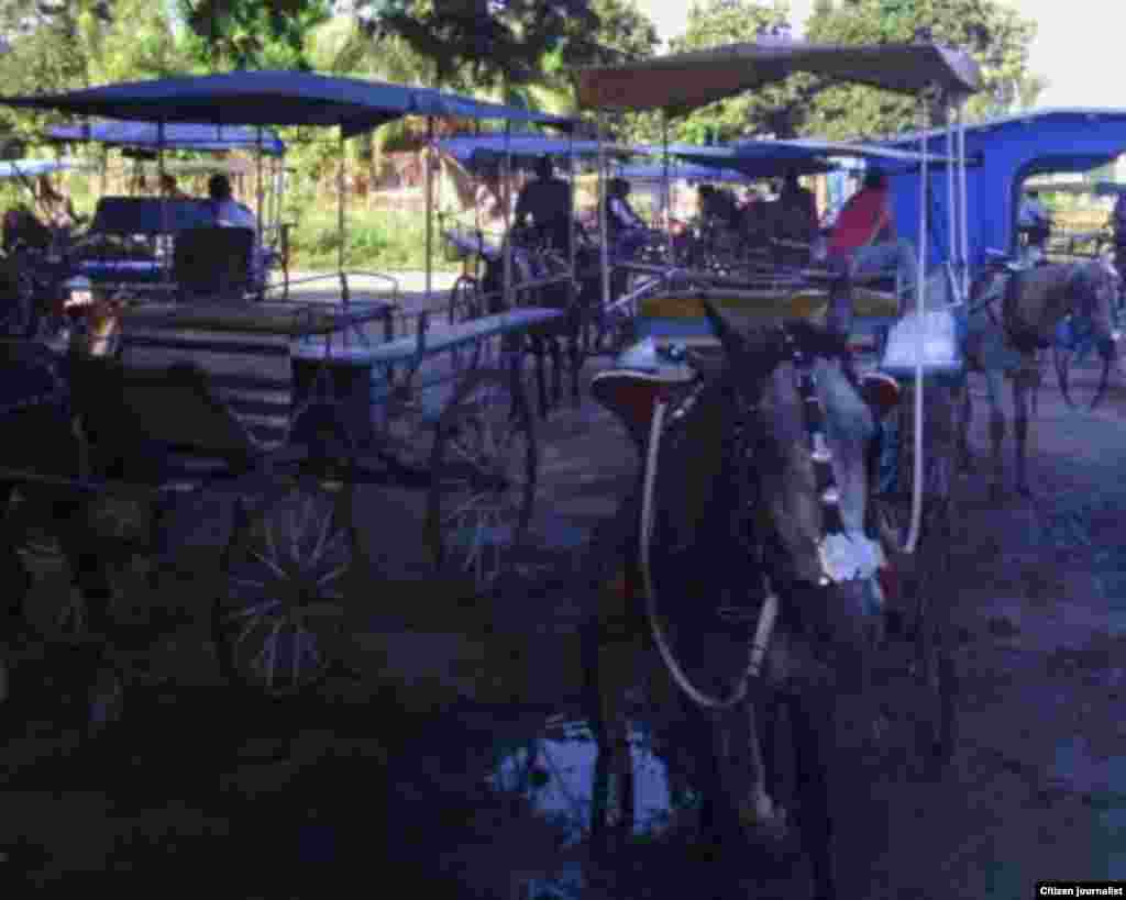 Reporta Cuba transporte en Manzanillo Foto Rudicel Batista