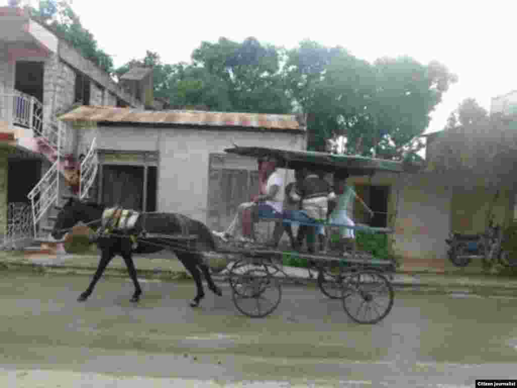 Ante la falta de bus Niober García nos muestra la mejor opcón para recorrer Guantánamo