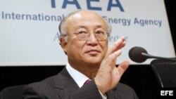 El director general del Organismo Internacional de Energía Atómica (OIEA), Yukiya Amano. 