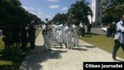 Reporta Cuba. Reporteros, activistas y Damas marcharon por 5ta. Ave. antes del arresto.