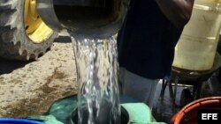 El cólera se transmite por aguas o alimentos contaminados
