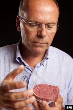 Fotografía cedida que muestra al profesor Mark Post, de la Universidad de Maastricht (Holanda), sosteniendo una hamburguesa generada en un laboratorio por "Cultured Beef", en Londres, Reino Unido, hoy, lunes 5 de agosto de 2013.