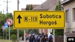 REFUGIADOS SIRIOS EN LA FRONTERA ENTRE HUNGRÍA Y SERBIA