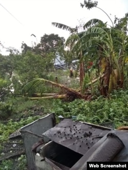 Los fuertes vientos ocasionaron daños a los platanales y otros cultivos agricolas. Foto Eirk Eduardo Facebook