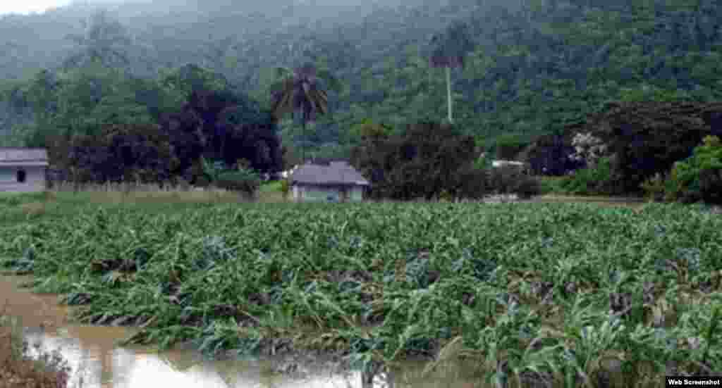 Pinar del Río tras el azote de intensas lluvias