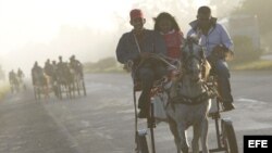 Varios jóvenes viajan en carretones tirados por caballos el viernes 24 de febrero de 2012, en Pinar del Río (Cuba).
