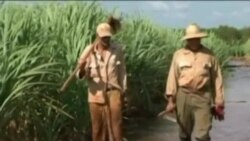 La prensa oficialista de Cuba omite mención de ayuda millonaria a la agricultura