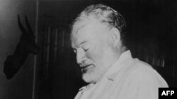 Foto de Ernest Hemingway tomada en 1952 mientras lee que ganó el premio Pullitzer con su novela "El viejo y el mar".