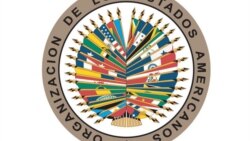 Impasibilidad de la OEA ante crisis venezolana