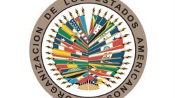 Denuncian en sesión de la OEA violación de DDHH en Cuba 