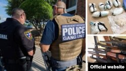 Cientos de armas de fuego, drogas y miles de dólares fueron incautados durante la mayor operación contra las pandillas en EE.UU.