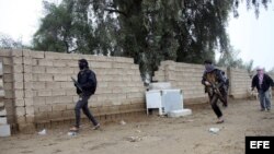 Al Qaeda controla la mitad de la ciudades iraquies de Faluya y Ramada