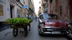 Una conversación sobre el futuro de Cuba y la importancia para la comunidad LGBTI de formar alianzas