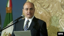 Sergio Alcocer, subsecretario mexicano de Relaciones Exteriores para América del Norte. 