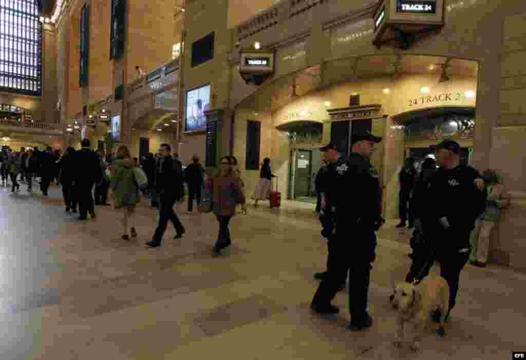 Miembros de la Policía de Nueva York patrullan con perros especiales en la estación de trenes Grand Central, en Nueva York.