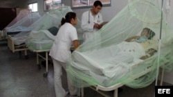 Fotografía de archivo de un grupo de pacientes que padecen dengue. EFE/Andrés Cristaldo