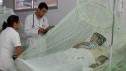 El dengue hace más seria la tragedia en Cuba