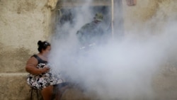 Reportan casos de dengue en Cuba