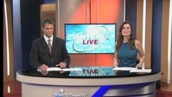 Antena Live