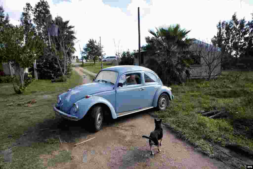 Mujica es considerado el jefe de Estado mas pobre del mundo por su forma de vida austera y recibió una oferta de un millón de dólares para vender su Volkswagen de 1987. 