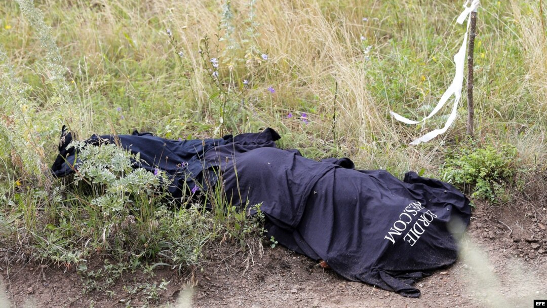 Una banderilla blanca marca la localización de un cadaver de uno de los pasajeros del Boeing 777 Malaysia Airlines flight MH17.