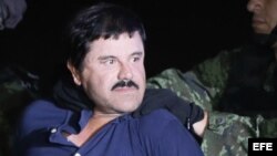 El narcotraficante Joaquín "El Chapo" Guzmán es conducido hoy, viernes 8 de enero de 2016, a un helicóptero de la Marina Armada de México, en la capital mexicana tras su recaptura en la ciudad de Los Mochis, Sinaloa.