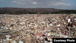 " Desechos tóxicos, animales muertos... en cualquier otro país levantarían en peso al alcalde por este vertedero", Juan González Febles, director, Primavera Digital