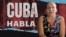 Banner 433