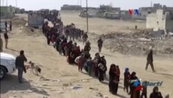 Desalojan a civiles iraquíes de Mosul en medio de batalla contra Estado Islámico