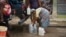 Una anciana busca agua en La Habana.