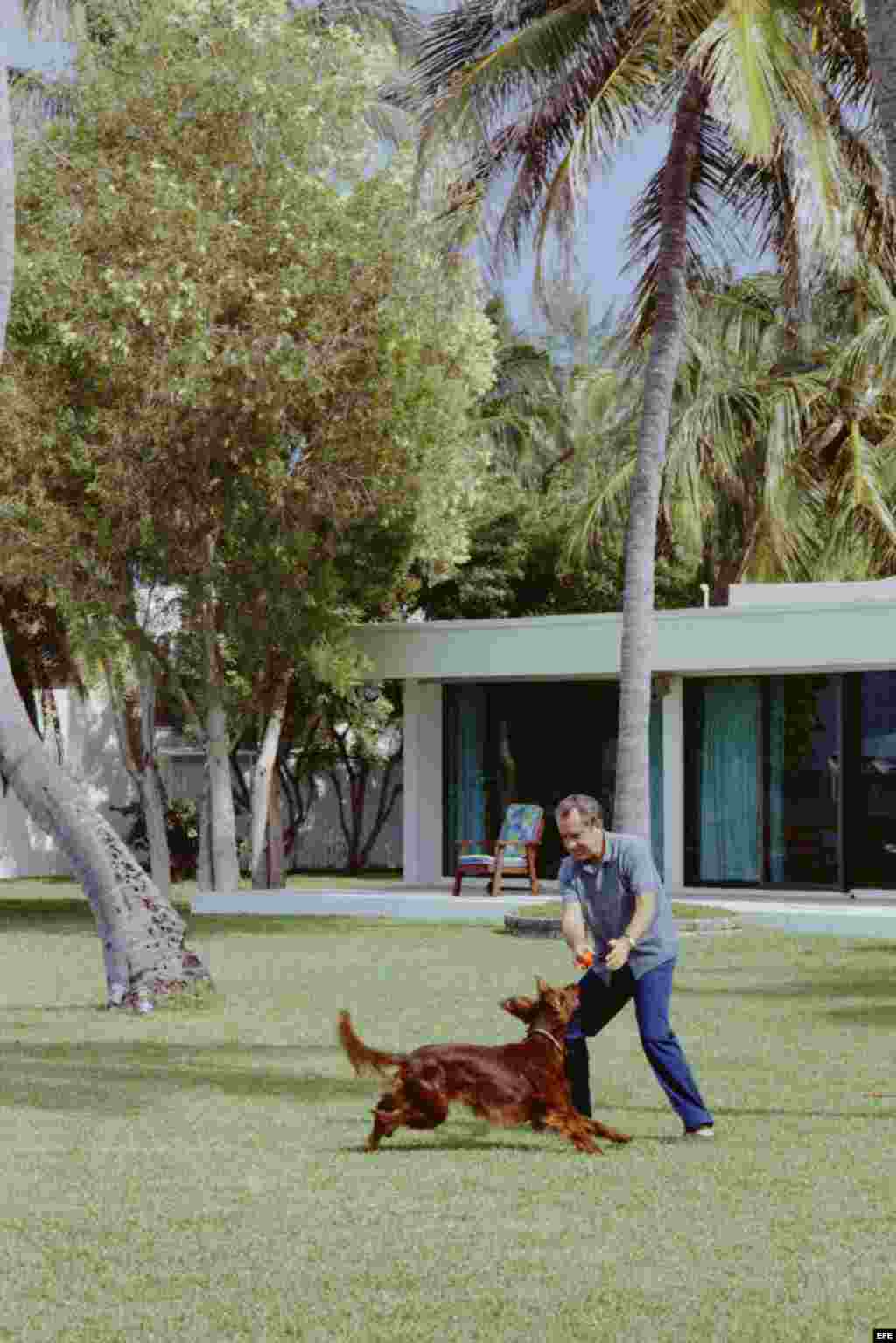 Richard Nixon juega con su setter irlandés "King Timahoe" en el patio de su casa de Cayo Vízcaino (Florida) .