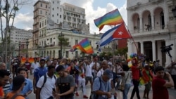 Analizamos la relevancia de la marcha LGBTI el 11 de mayo en el Prado habanero