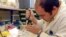 Un investigador trabaja en un laboratorio de Terapia Celular.