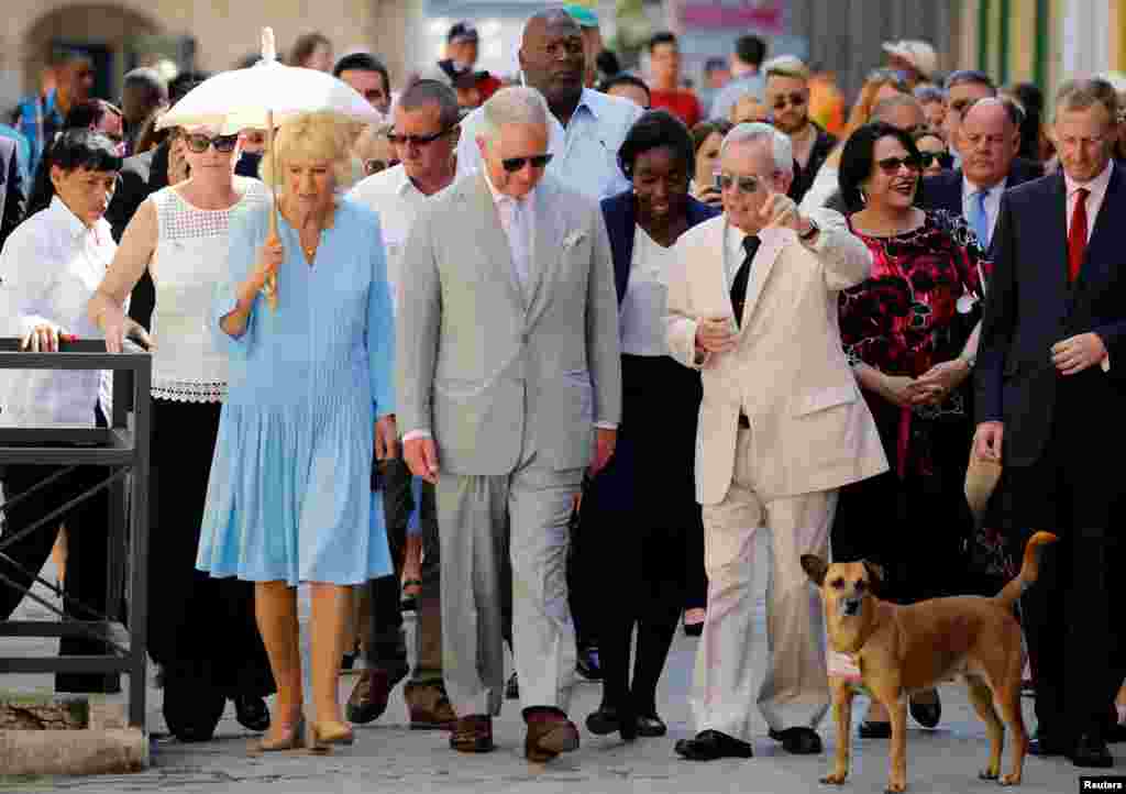 El Príncipe de Gales y heredero del trono de Gran Bretaña, Carlos, y la Duquesa de Cornualles, Camila, también visitaron la isla. En esta foto hacían un recorrido a pie por La Habana Vieja acompañados por el historiador de La Habana, Eusebio Leal.