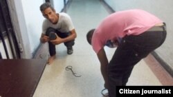 Reporta Cuba. Dos activistas toman con un celular fotos dentro de Estación de Policía durante un arresto. Foto: Luis E. Diéguez.