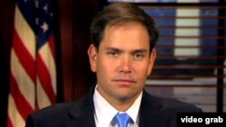 El senador republicano por la Florida, Marco Rubio.