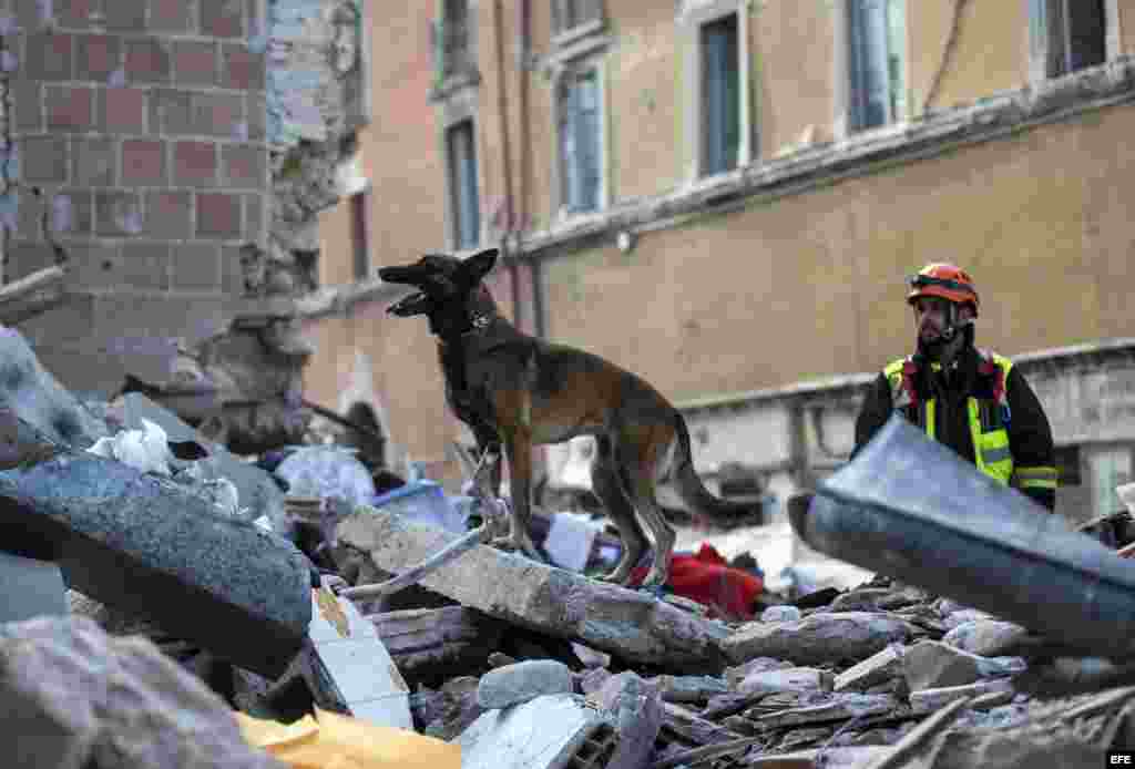 Imagen facilitada por la Brigada de Bomberos de Italia que muestra al cuerpo de bomberos en busca de supervivientes en una de los edificios derrumbadas en Amatrice, en el centro de Italia, hoy, 24 de agosto de 2016. Al menos 37 personas han muerto y decen
