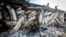 Consecuencias de los terremotos en Venezuela