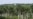 Vista de estructuras pertenecientes a una base militar cubana cerca de Bejucal, Cuba, 12 de junio de 2023. REUTERS/Dave Sherwood