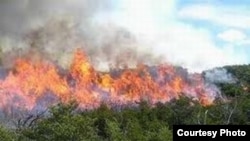 Incendio en el bosque de la Meseta de San Felipe