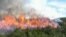 Incendio en el bosque de la Meseta de San Felipe