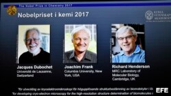 Una pantalla muestra a los tres ganadores del Premio Nobel de Química 2017 por desarrollar la "criomicroscopía electrónica para la determinación estructural en alta resolución de biomoléculas en soluciones": (i-d) Jacques Dubochet, Joachim Frank y Richard